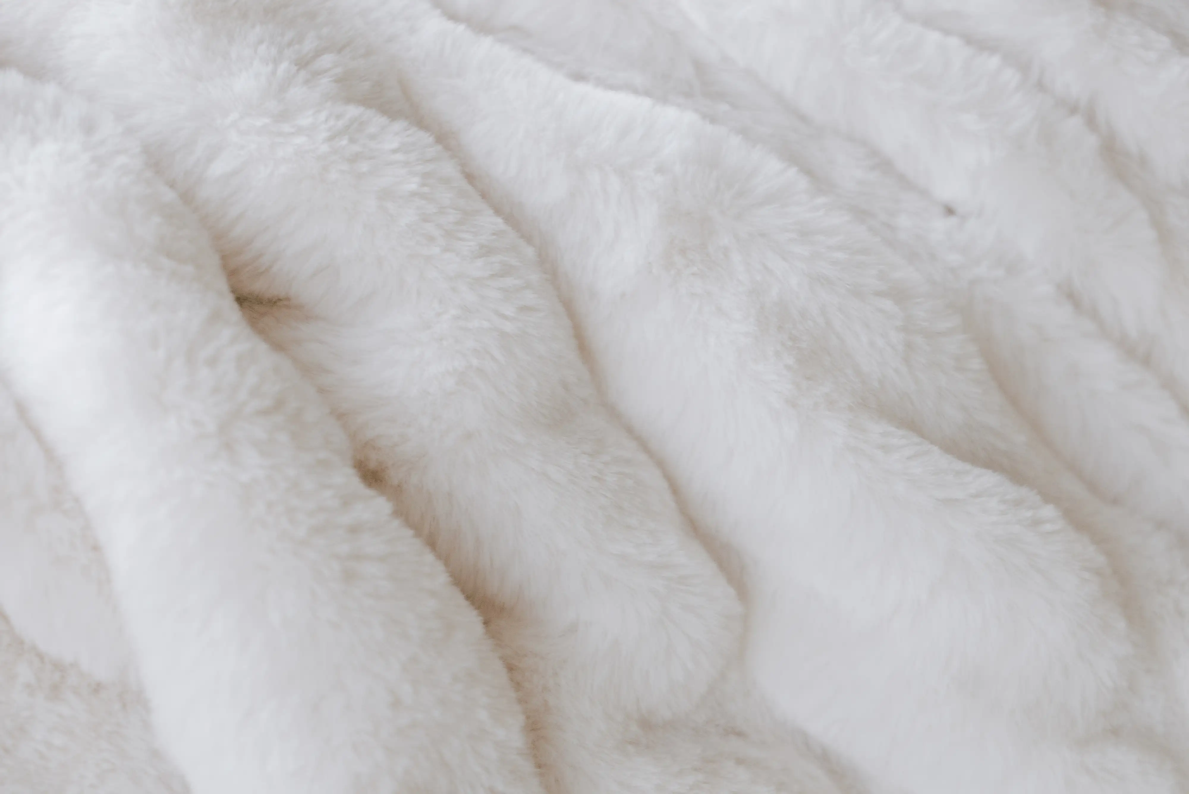 Transcendent Comfort