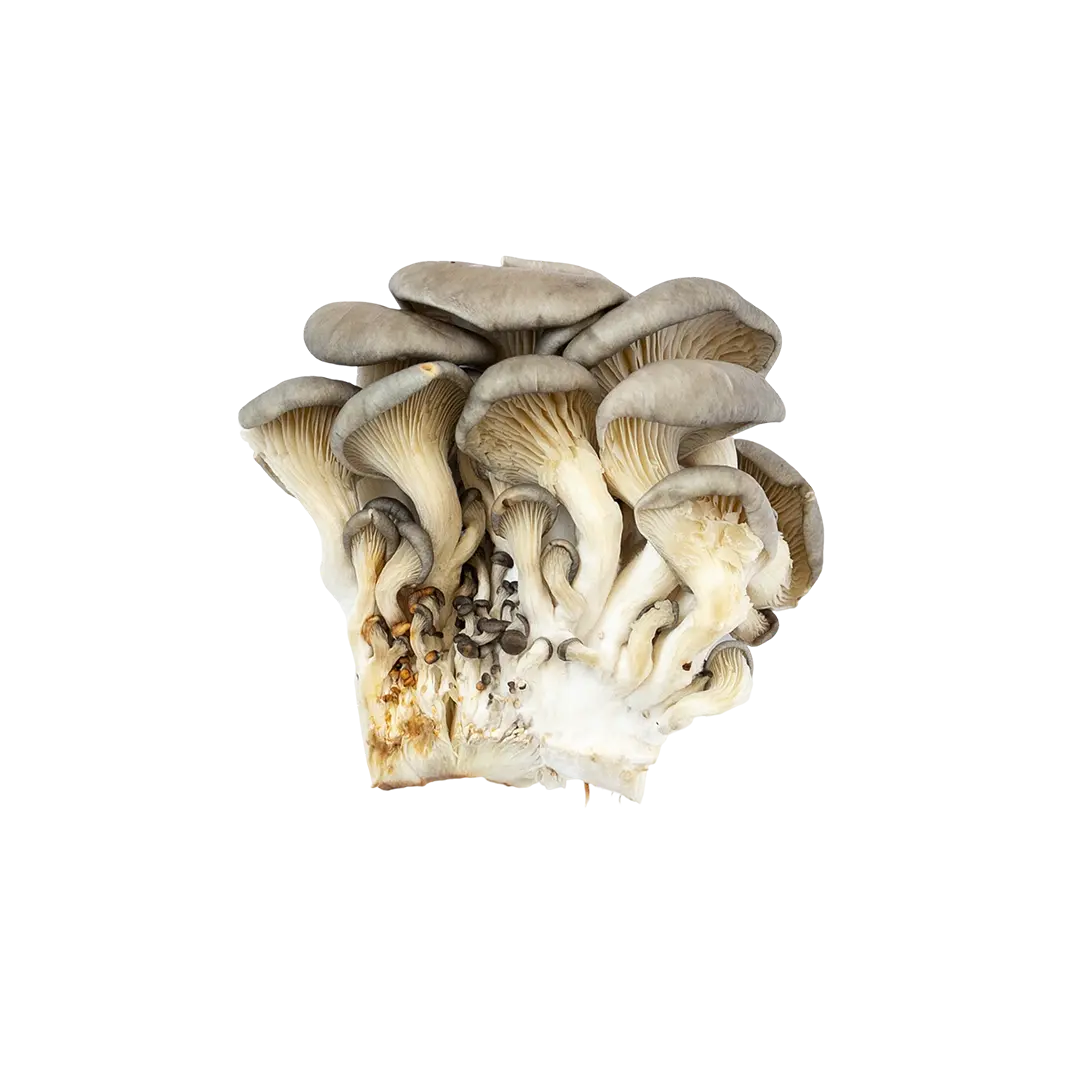 Image of Vitamin D3