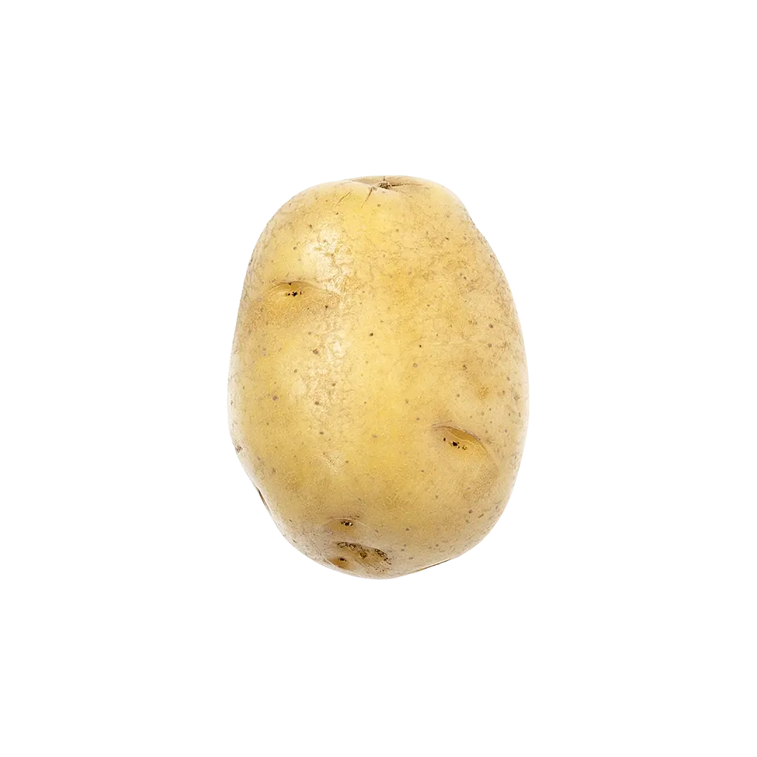 Image of Vitamin B6