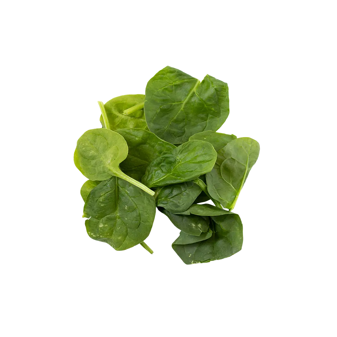 Image of Folate