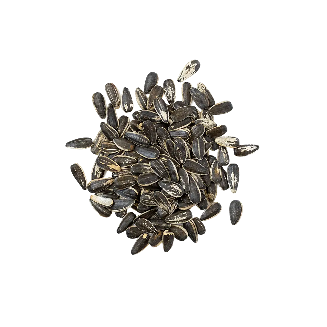 Image of Copper